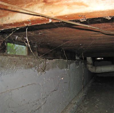 A Basement crawl space; photo courtesy Newell Post